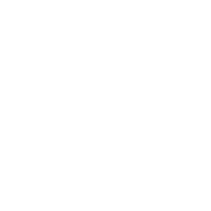 SET Logo